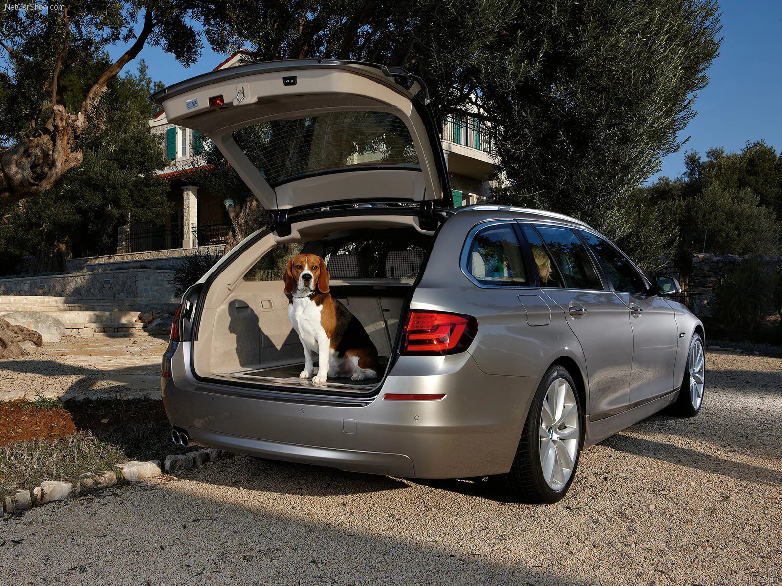 Что означает touring. Bmw 5 touring f11. bmw 5 touring 2011. bmw f11 touring. bmw 5-series f11 touring.