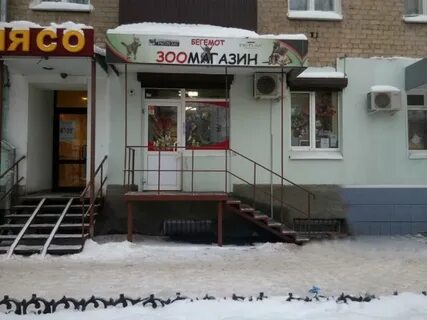 Бегемот казань