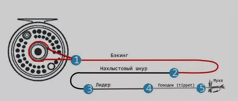 Подлесок для нахлыста. Схема оснастки нахлыста. нахлыст схема снасти. схема сборки нахлыстовой снасти. нахлыст монтаж снасти.