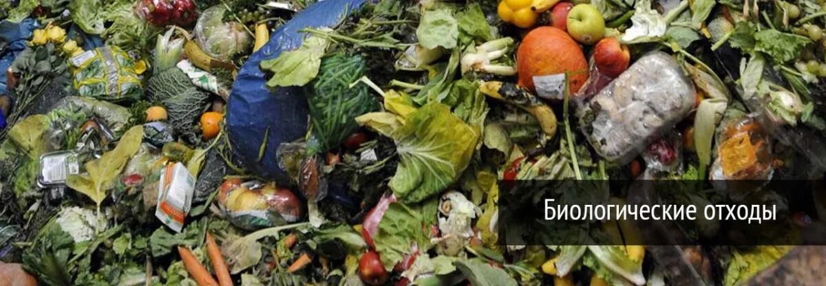 Биоотходы. Пищевые отходы. Небиологические отходы. Отходы пищевой промышленности.