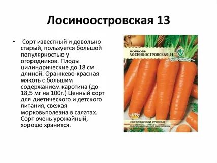 Морковь лосиноостровская характеристика и описание