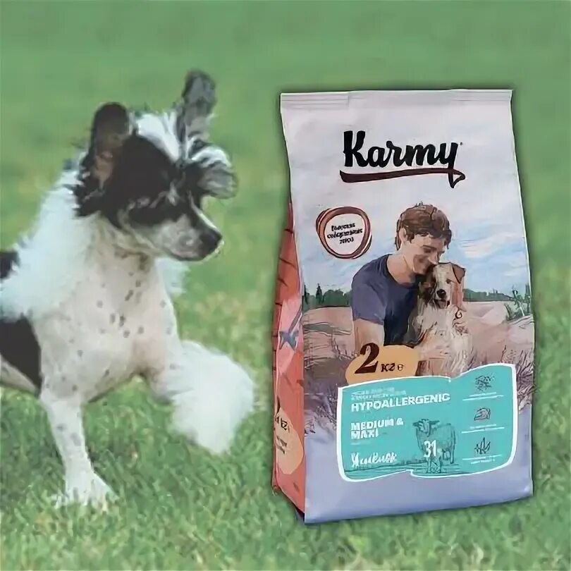 Карм кг. Karmy Hypoallergenic Mini ягненок. Корм для собак karmy 15 кг ягненок. Карми корм для собак гипоаллергенный. Karmy Hypoallergenic Mini.