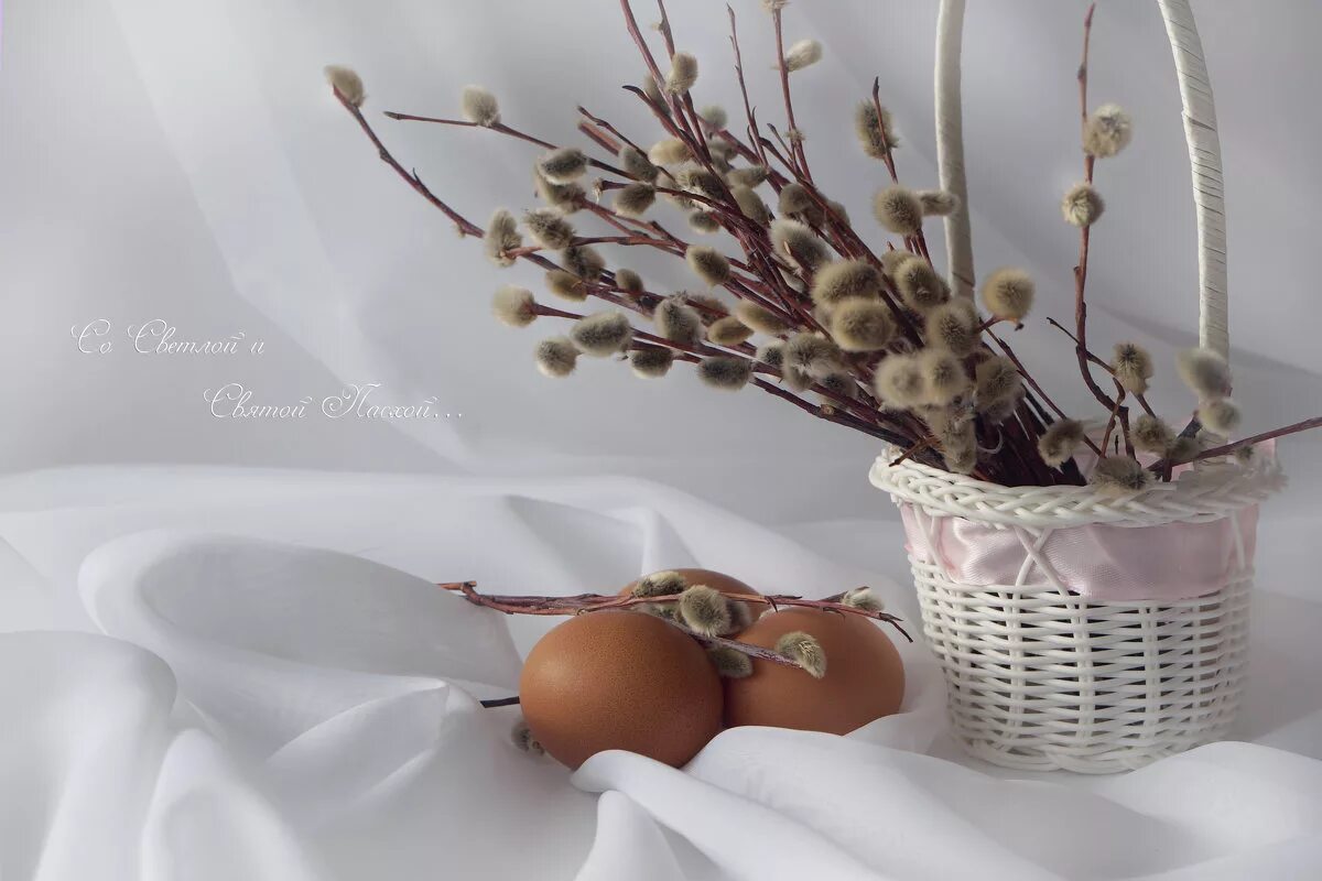 Пасхальное яйцо с вербой. Веточка вербы с вербным воскресеньем. Верба на пасху. Пасхальные цветы. Пасха натюрморт.