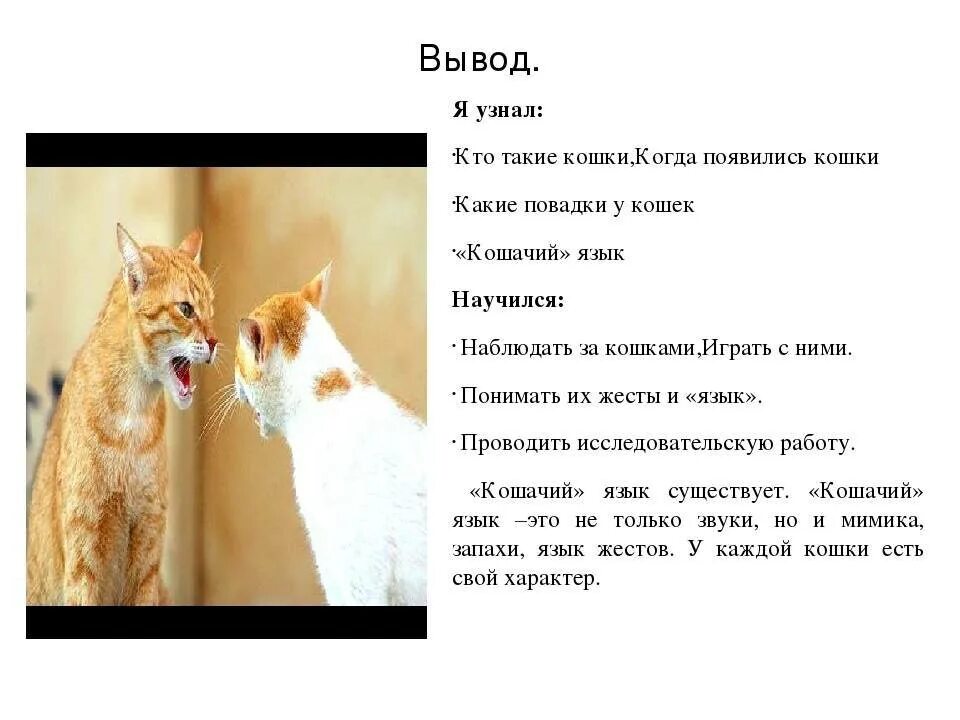 Повадка зверя