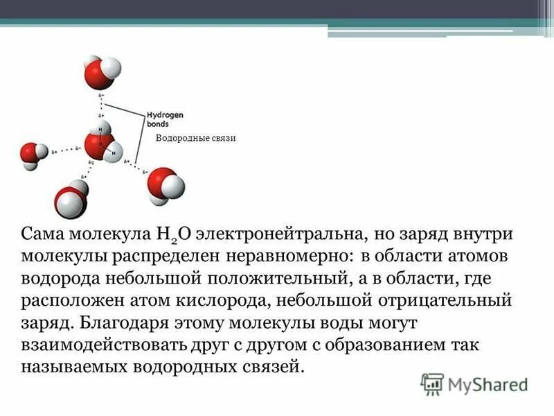 заряд атома гелия. заряд ядра гелия. наименьший отрицательный заряд имеет. электрический заряд. наименьший отрицательный заряд имеет.