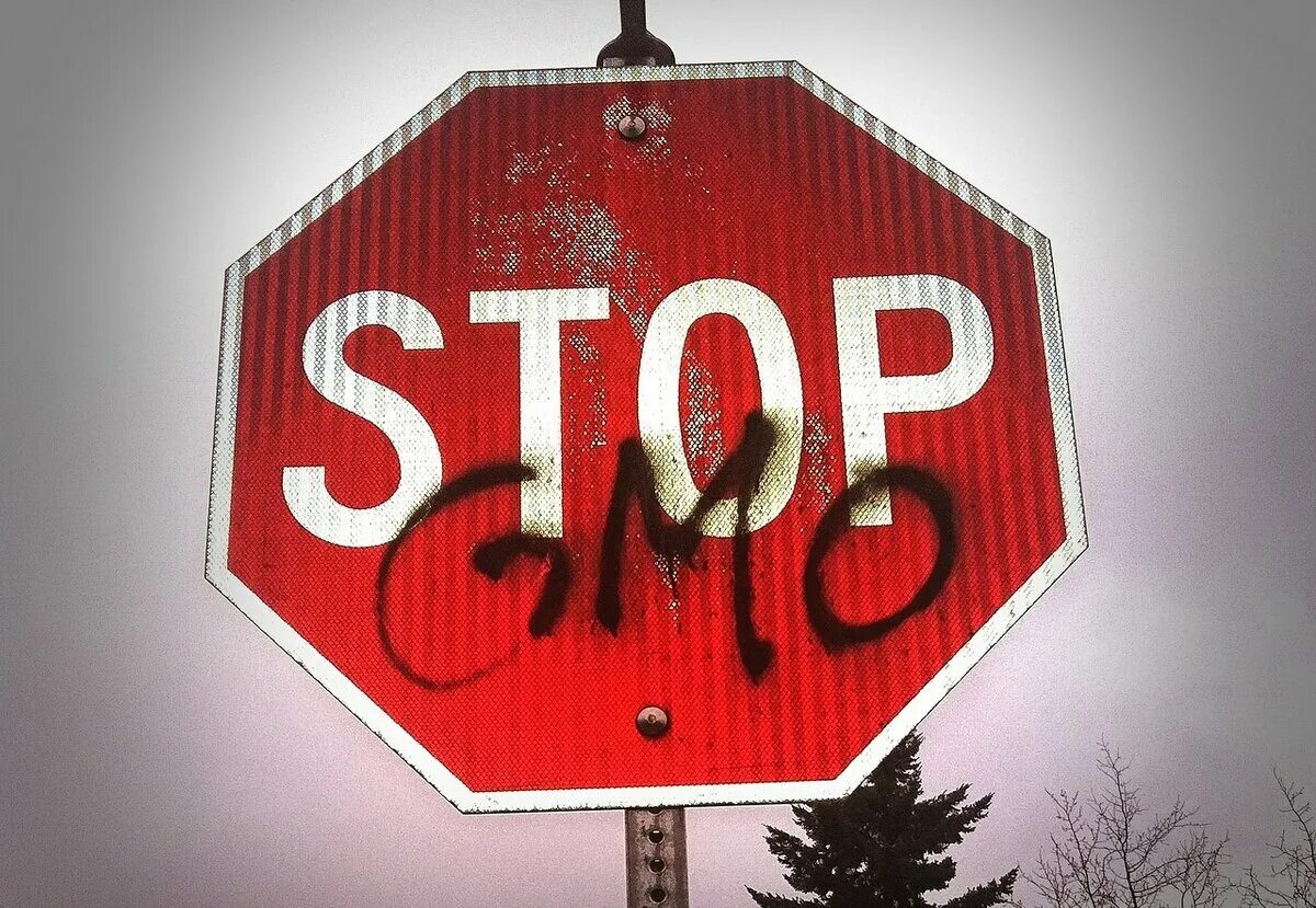 Стоп гмо 2. Знак запрещающий гмо. Ban символ. Генномодифицированные продукты. Гмо продукты.