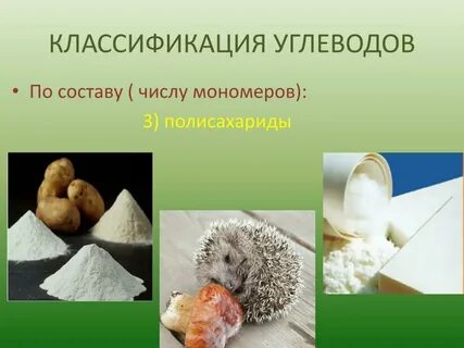 Видеоурок по биологии углеводы
