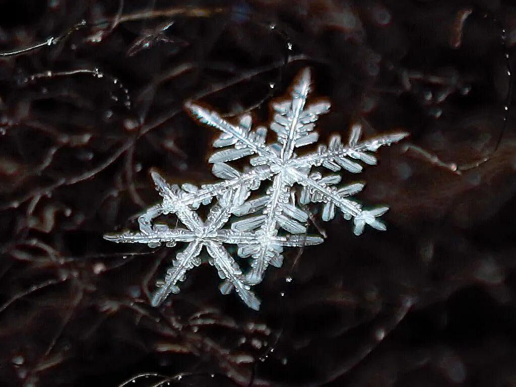 Милые снежинки. Крупные снежинки. Снежинки пластиковые для декора. Одинаковые снежинки. Одинаковые снежинки.