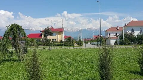 Адлер орнитологический