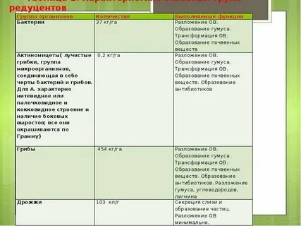 Роль редуцентов