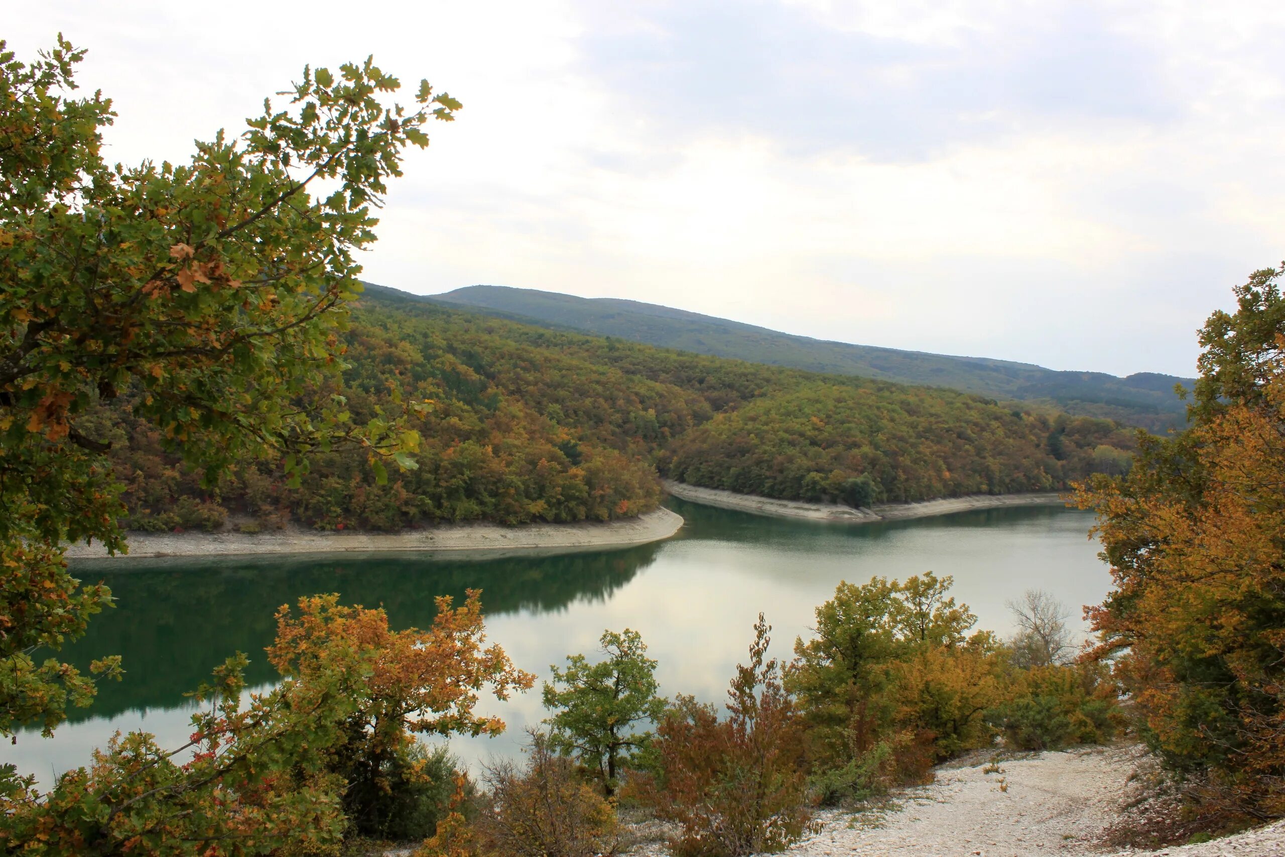 Село Каштановое Симферопольский район. Каштановое (Крым). ЭКОРЕСТ село Каштановое. Симферополь село Каштановое. Село каштановое