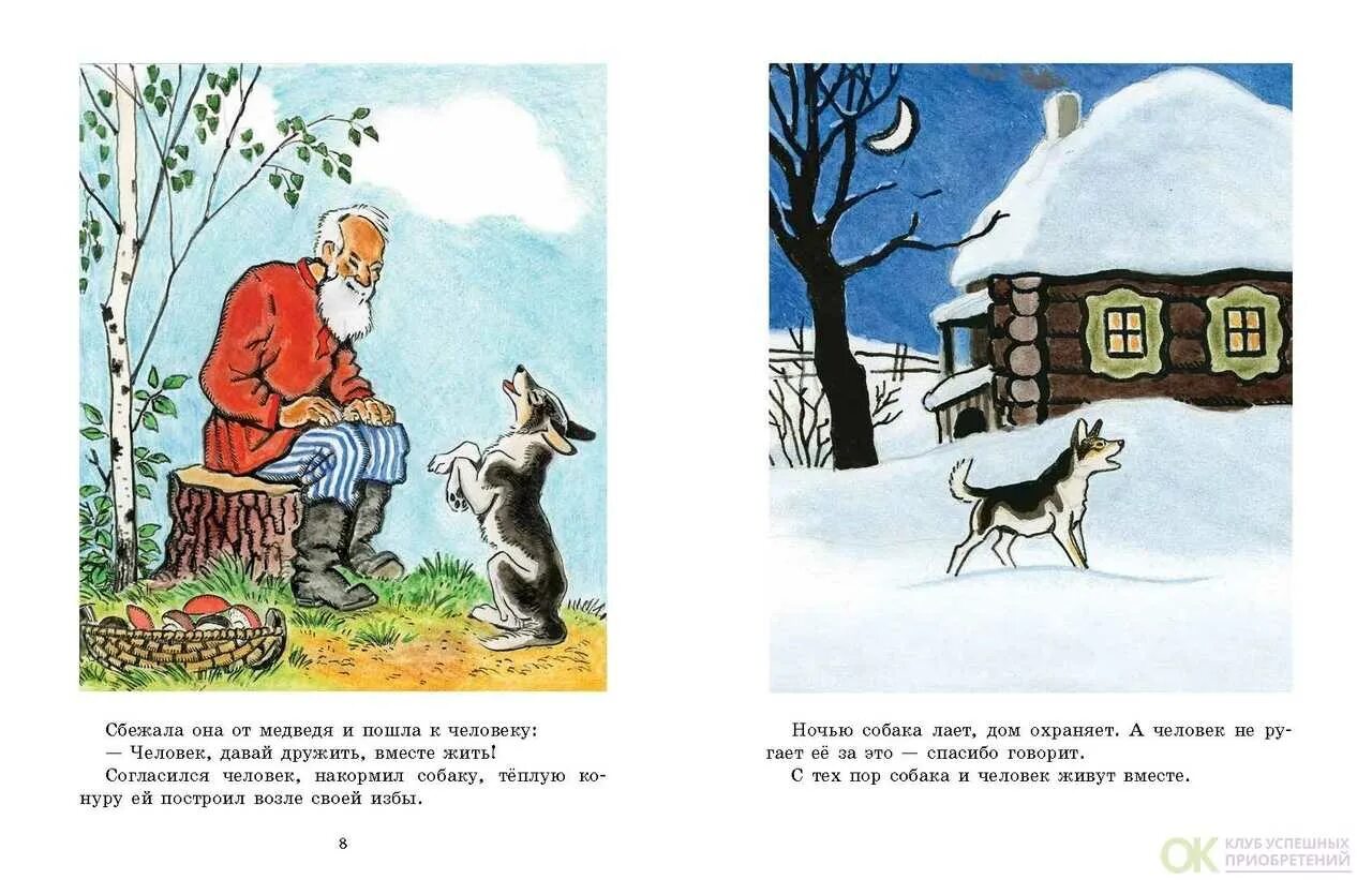 Читать мордовскую сказку как собака друга искала. Как собака друга искала. человек и собака сказка. кпк собака друга искала. кпк моьака друга искала.