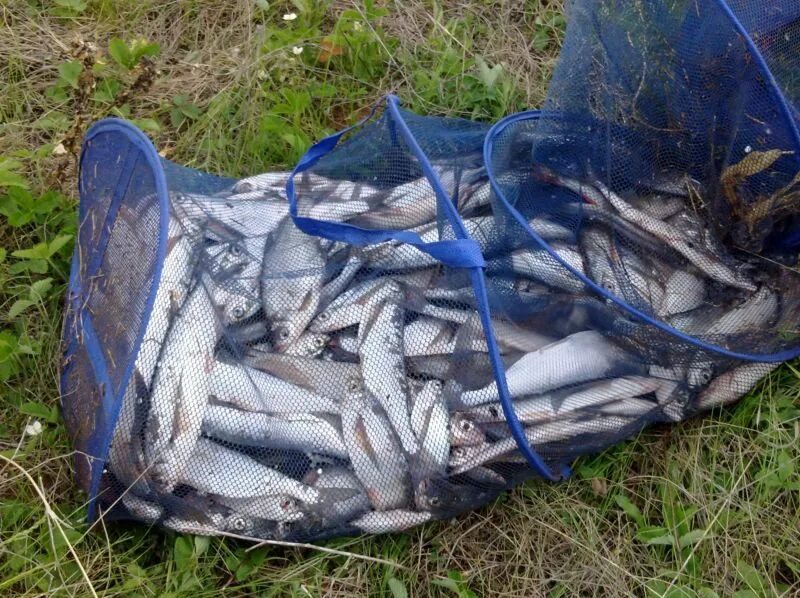 рыбалка чистополь