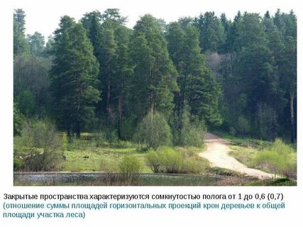 Замкнутая территория