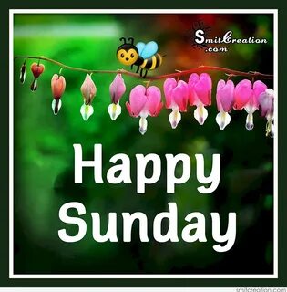 Happy sunday