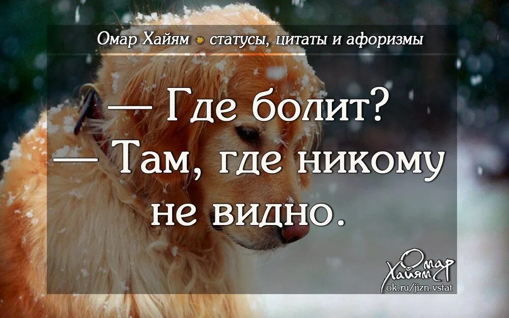 Никогда не спрашивай людей. Цитаты для статуса. Там цитаты. Там где цитаты. Цитаты про состояние.