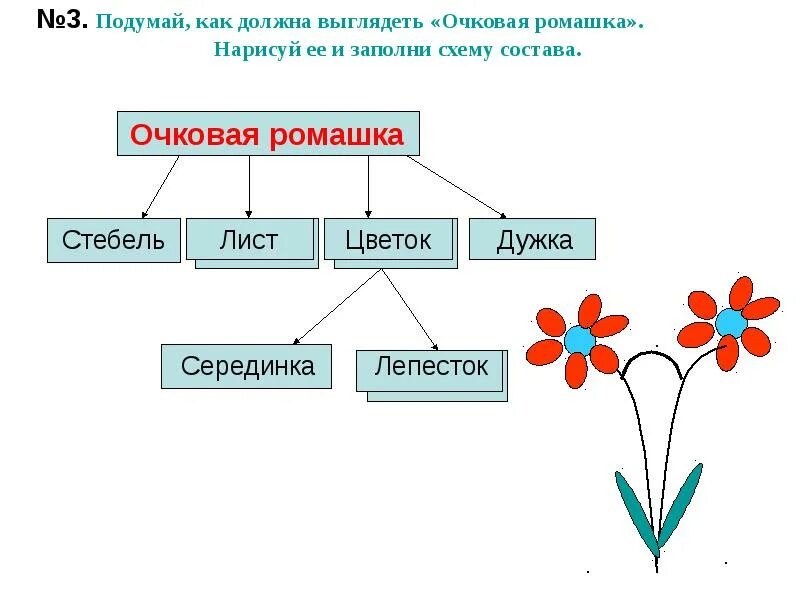 Строение растения для детей. Строение растения пестик венчик. Строение семени растения. Схема состава цветка. Строение цветка схема 7 класс биология.