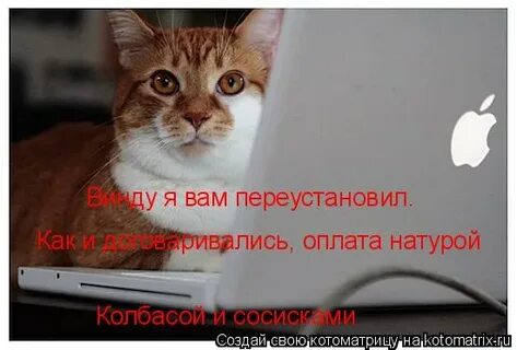 Плачу натурой