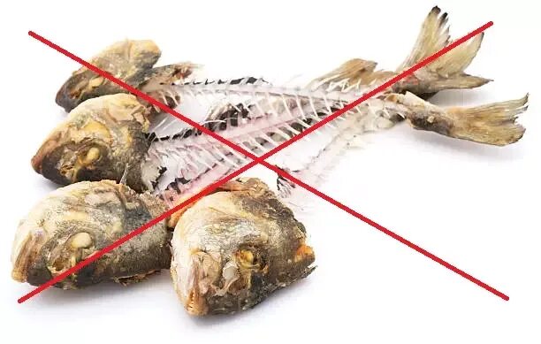 Рыбные кости. Можно кормить собак рыбой