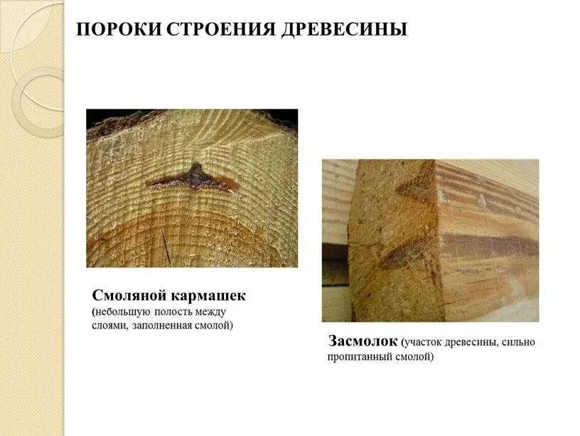 Дефект бруса