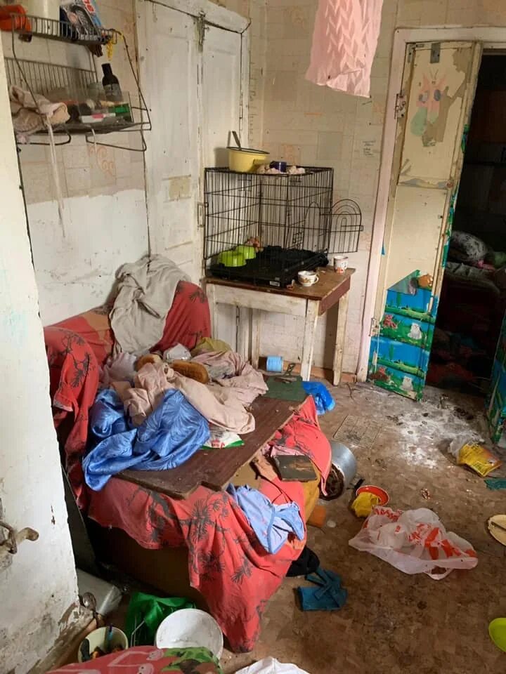 Девочкой живущей в приюте. Девочкой живущей в приюте. Приют для девочек. Девочкой живущей в приюте. Приют ковчег.