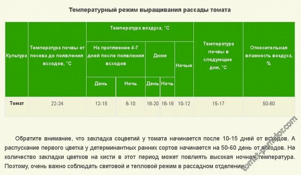 Огурцы в открытом грунте какая температура. Температурный режим для рассады томатов в теплице. Температурный график для выращивания рассады томатов. Минимальная температура для рассады. Оптимальная температура для высадки рассады томатов.