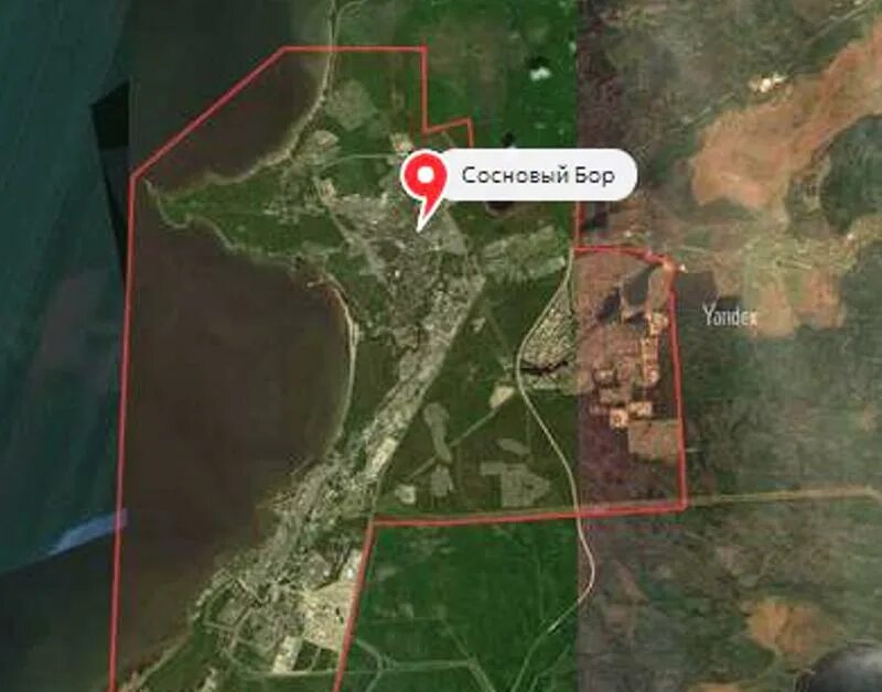 речка воронка ленинградская область. воронка сосновый бор. воронка сосновый бор. река воронка сосновый бор. воронка сосновый бор.