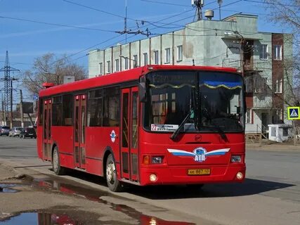 Автор 43