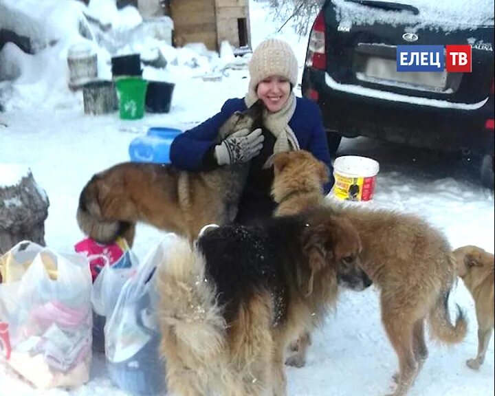 Помощь животным елец