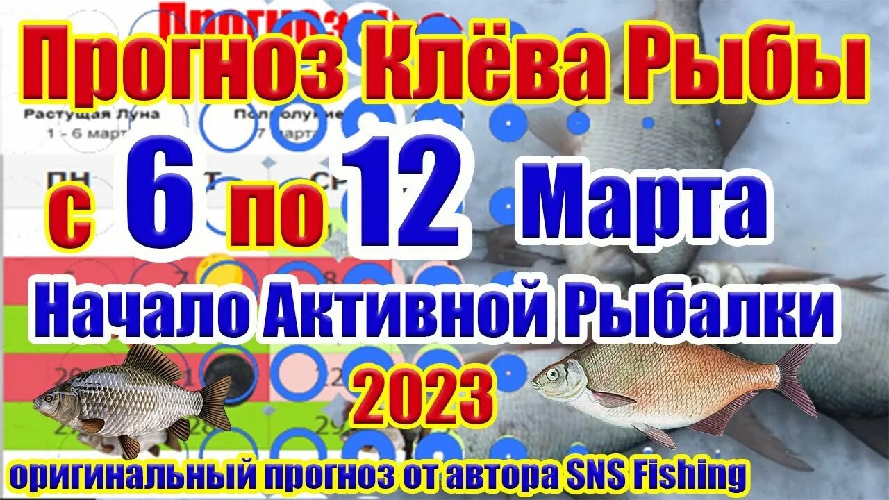 Прогноз клева по лунному календарю 2025 Прогноз клева рыбы на Эту Неделю с 18 по 24 Июля Календарь рыбака на неделю Кале