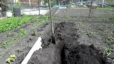 Пролить грядку