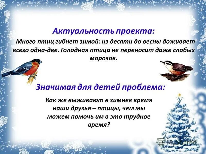 Расскажите детям о зимующих птицах. Зимующие птицы презентация. Зимующие птицы для детей. Как называют птиц которые плохо переносят зиму. Как называют птиц не переносят зиму.
