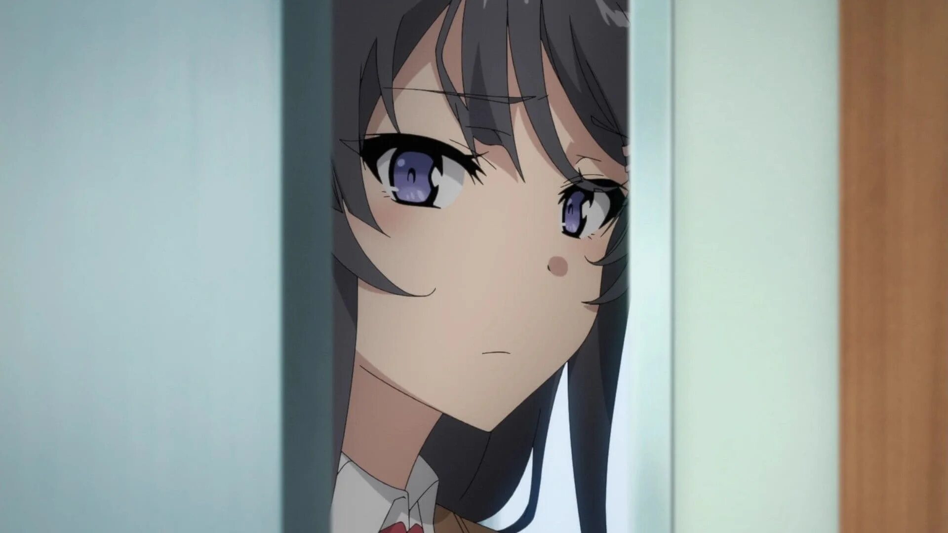 Seishun buta Yarou WA Bunny girl Senpai no Yume wo Minai.