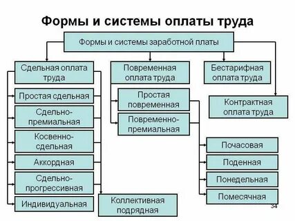 Виды оплаты труда в 2024