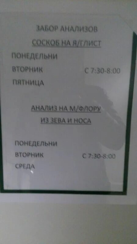 Время приема анализов кала. Прием анализов мочи. Приём анализов в поликлинике. Приём анализов в детской поликлинике. График приема анализов в поликлинике.