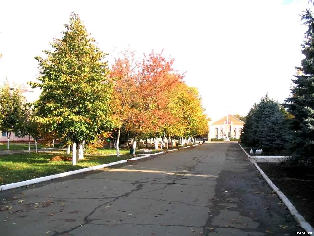парк победы изобильный ставропольский край. посёлок изобильный ставропольский край. поселок изобильный ставропольский край. поселок изобильный ставропольский край. поселок новоизобильный ставропольского края.