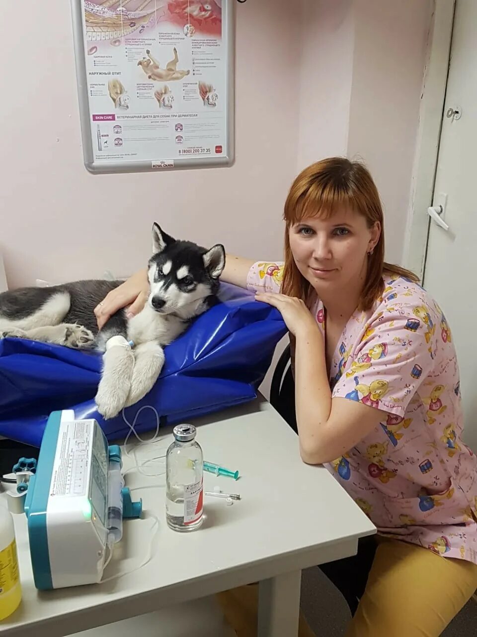 Айболит аптека бишкек. Ветклиника бердск. Ветеринарная клиника айболит ставрополь. Айболит бердск ветеринарная клиника. Улица кривоусова 18д верхняя пышма.