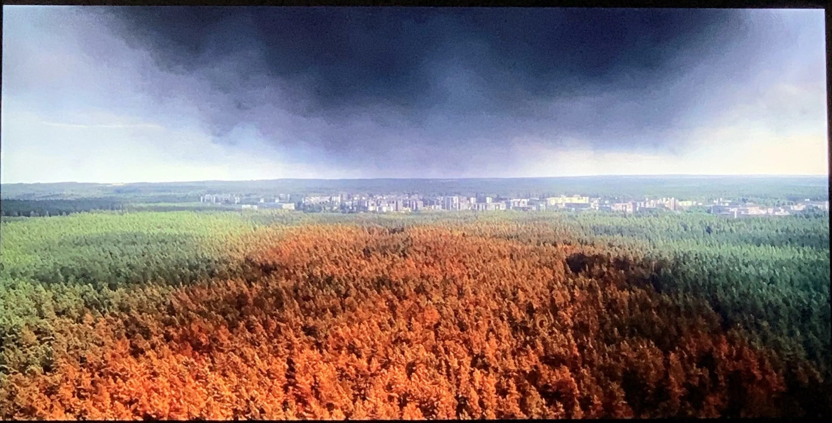 Почему рыжий лес. Рыжий лес припять 1986. рыжий лес чернобыль. рыжий лес припять. рыжий лес чернобыль 2025.