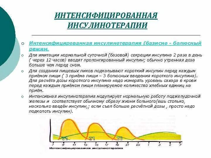 Базис болюсная