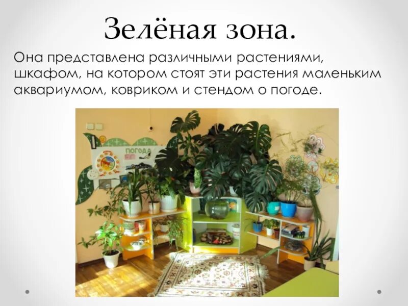Ижевск проблемы города. И явилось чудо зеленое. Зеленые насаждения в городе. Зелёная зона определение. Роль зеленых насаждений в населенных пунктах.
