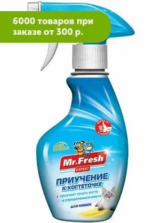 Mr fresher