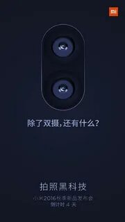 Xiaomi двойной