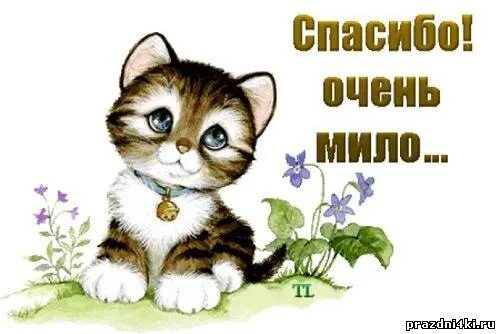 Спасибо милая и вам