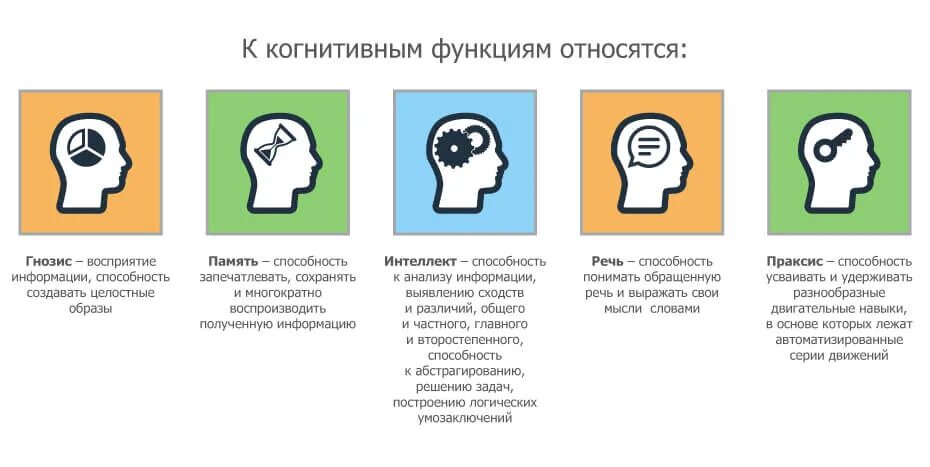 Нарушение когнитивных функций. Когнитивные способности мозга. Конгитивнвные функции. Когнитивные функции мозга. Когнитивные функции внимание