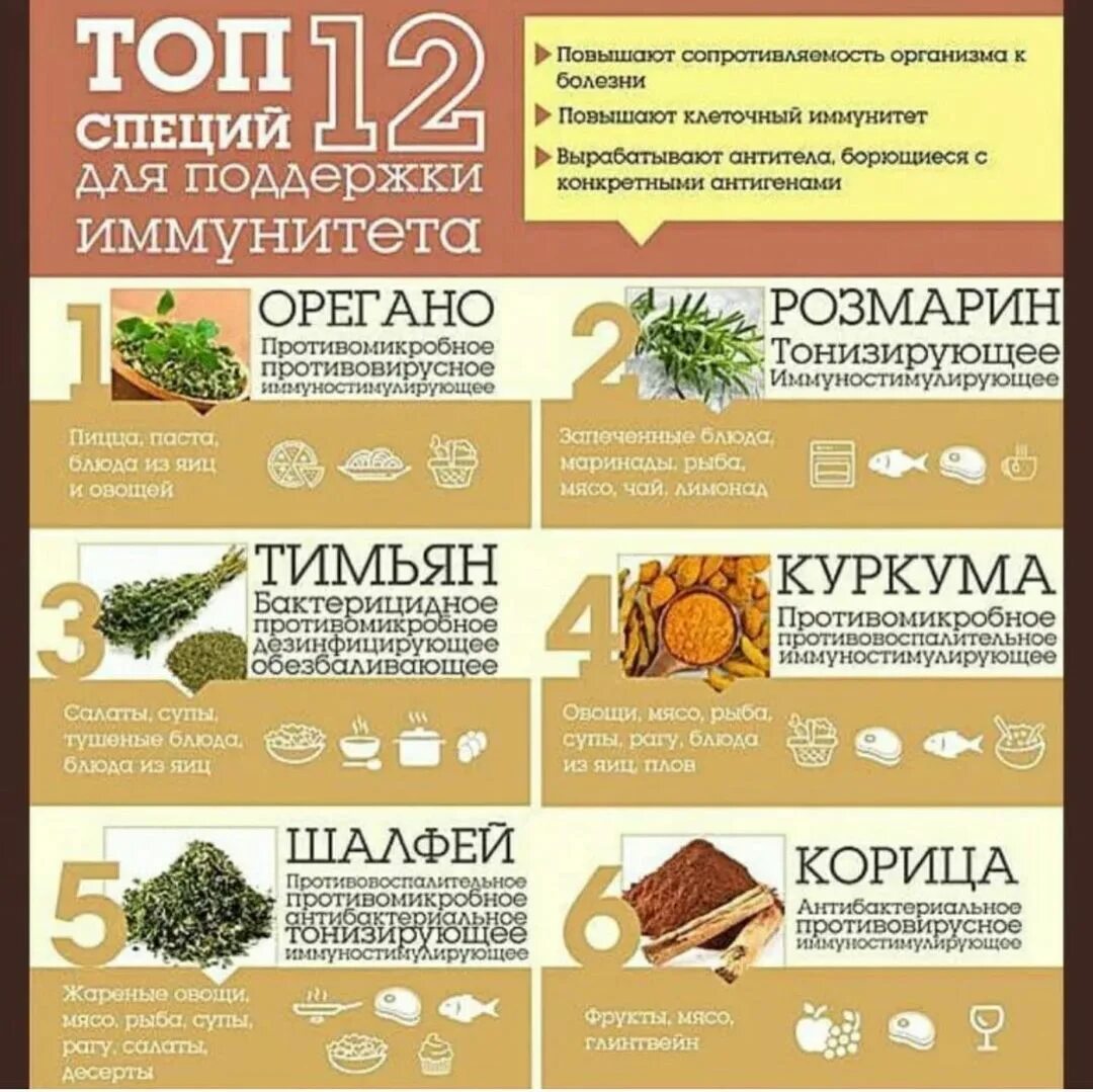 польза специй. приправы польза для организма человека. полезные специи и пряности. польза специй. пряности для организма человека.