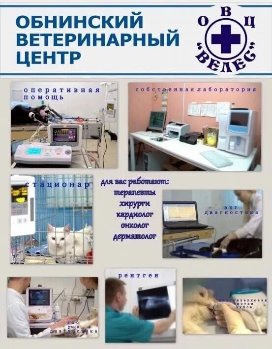велес обнинск ветклиника график работы. визитка ветеринарного врача. велес малоярославец ветклиника. калужская область, обнинск, просп. акции в ветеринарных клиниках.