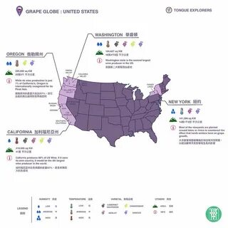 Данные региона сша