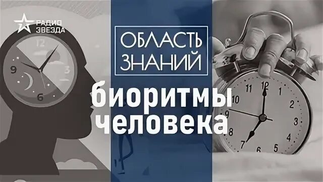 Часы лекция