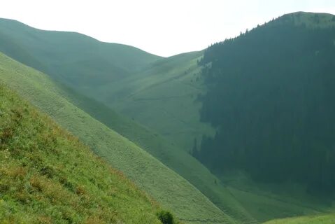 Широкая долина