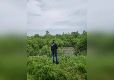 Пропавшая цомартова